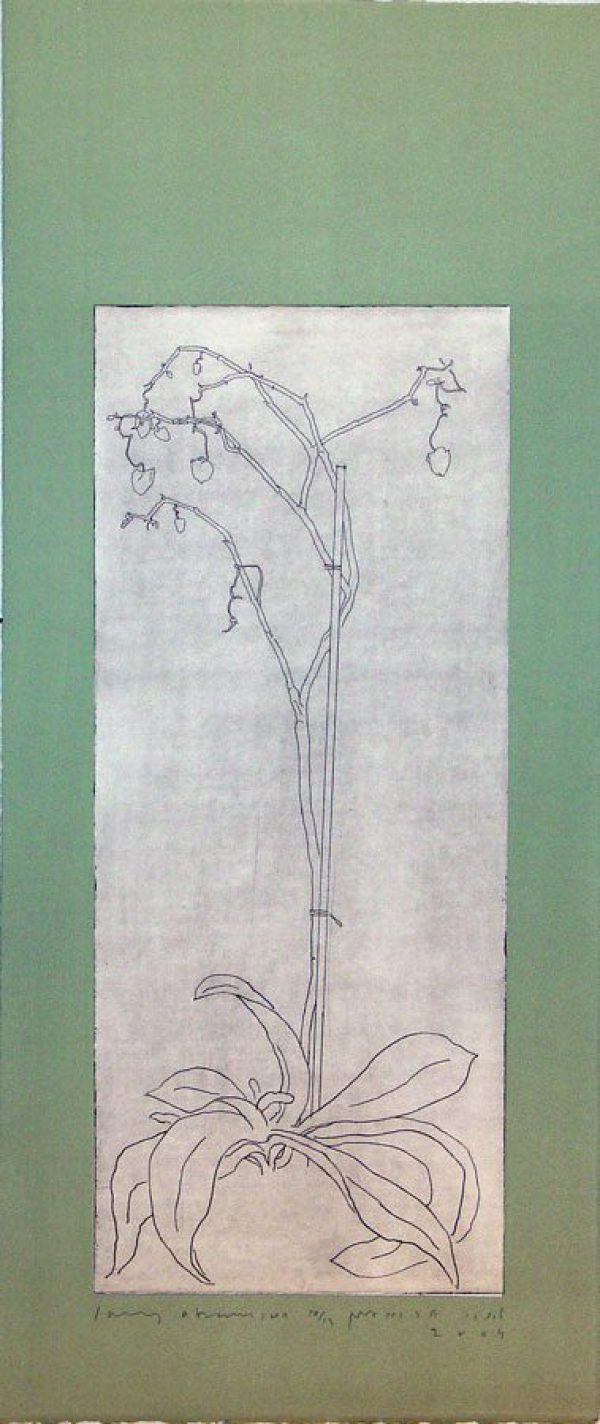 Orchid II