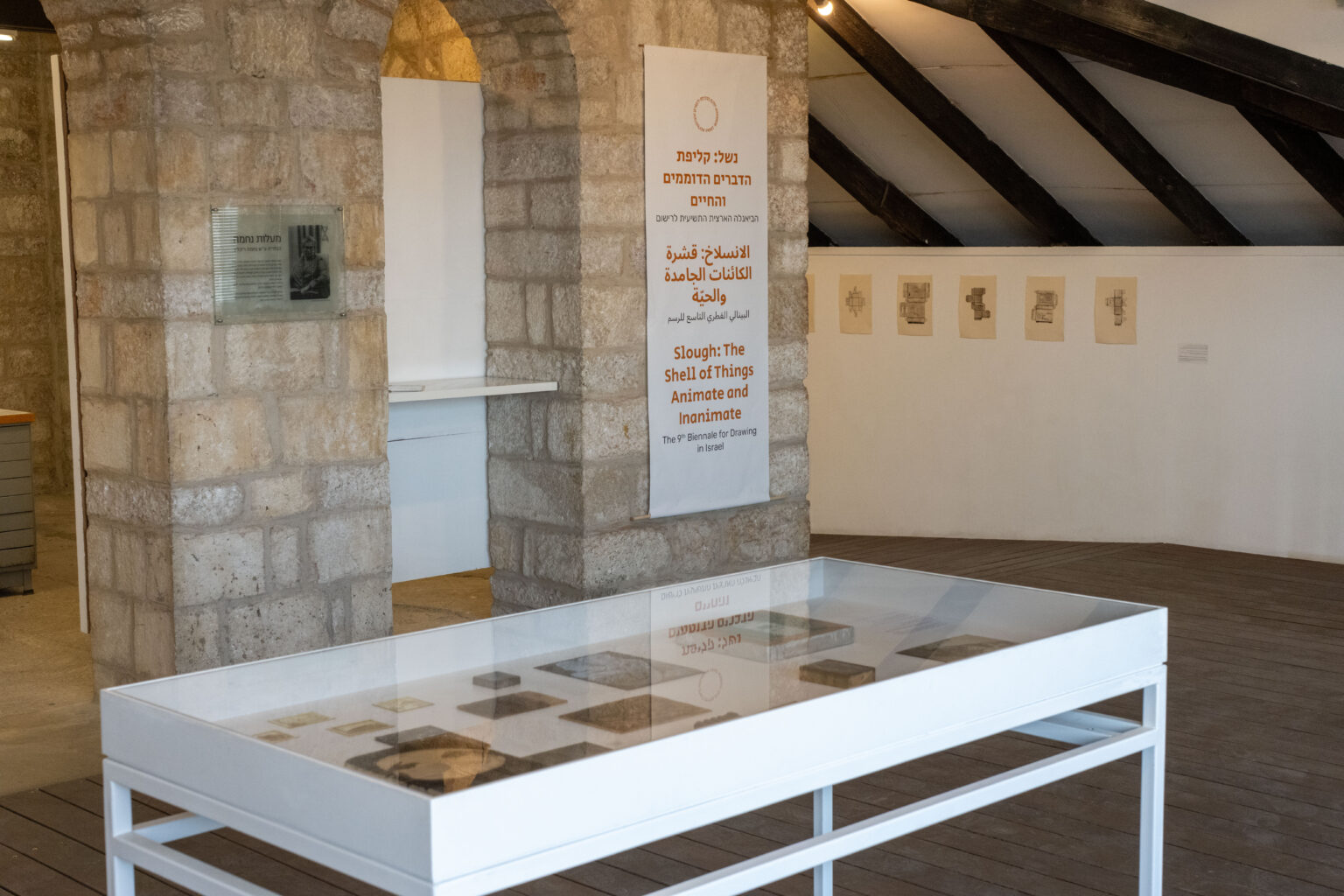 קרדיט צילום: מיכל ארנהיים