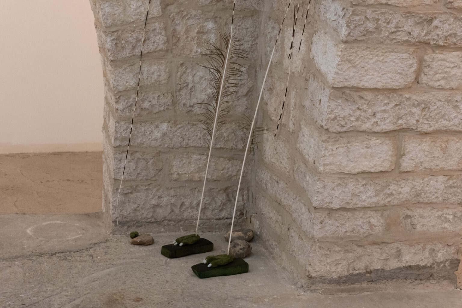 קרדיט צילום: מיכל ארנהיים