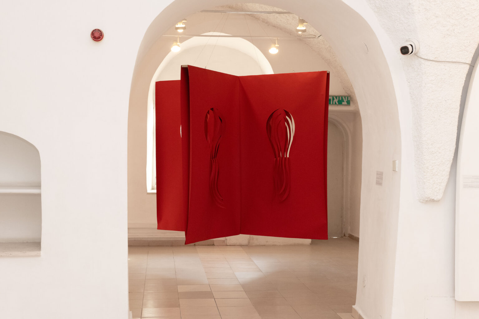 קרדיט צילום: מיכל ארנהיים