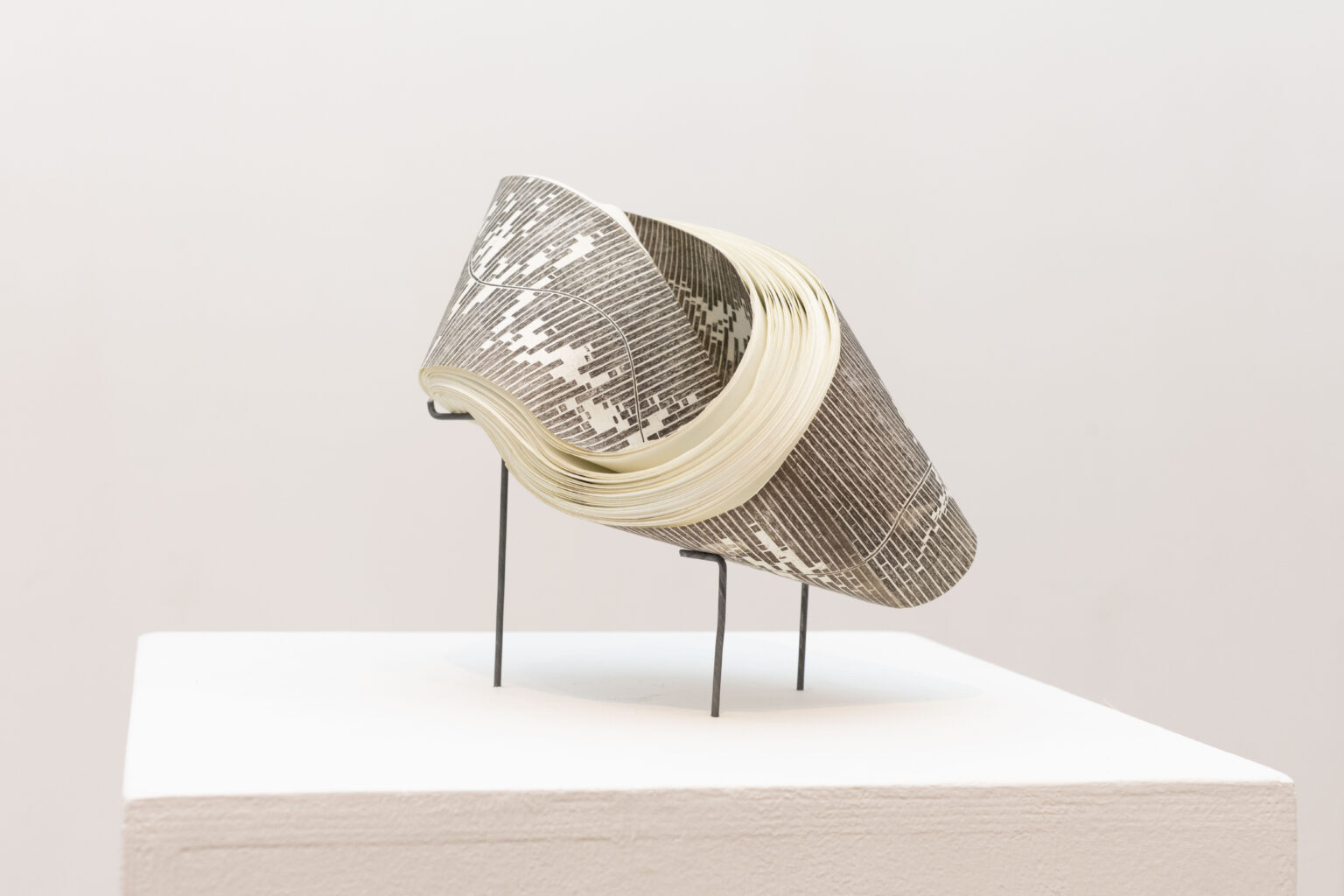 קרדיט צילום: מיכל ארנהיים