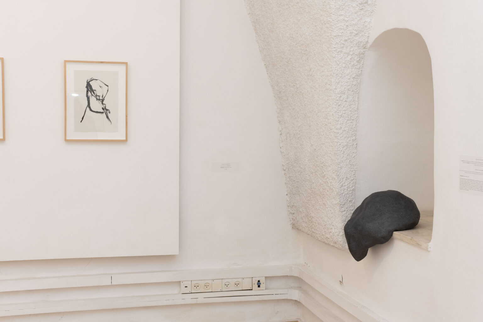 קרדיט צילום: מיכל ארנהיים