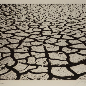 Cracked Earth