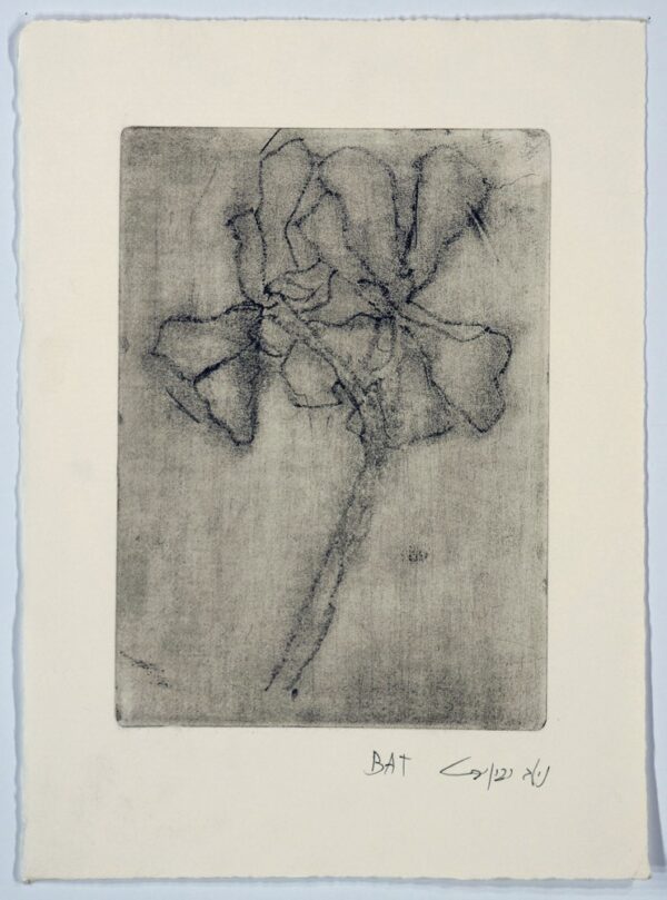 Etching IV