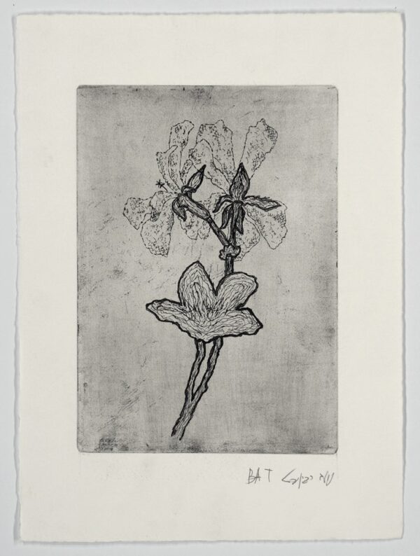 Etching VII