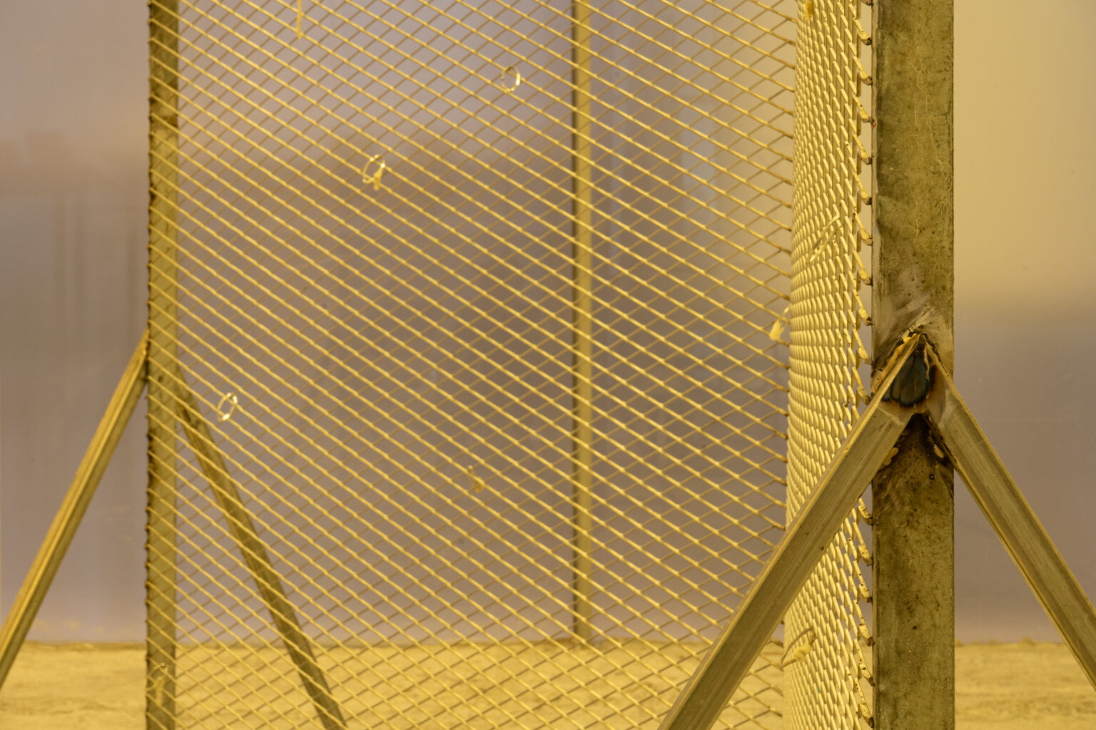 דפוס פעולה, אמליה אריאלי, שוד לאור יום, צילום- הדס חי